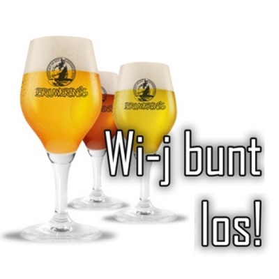 BROUWERSNOS GLAS 25CL